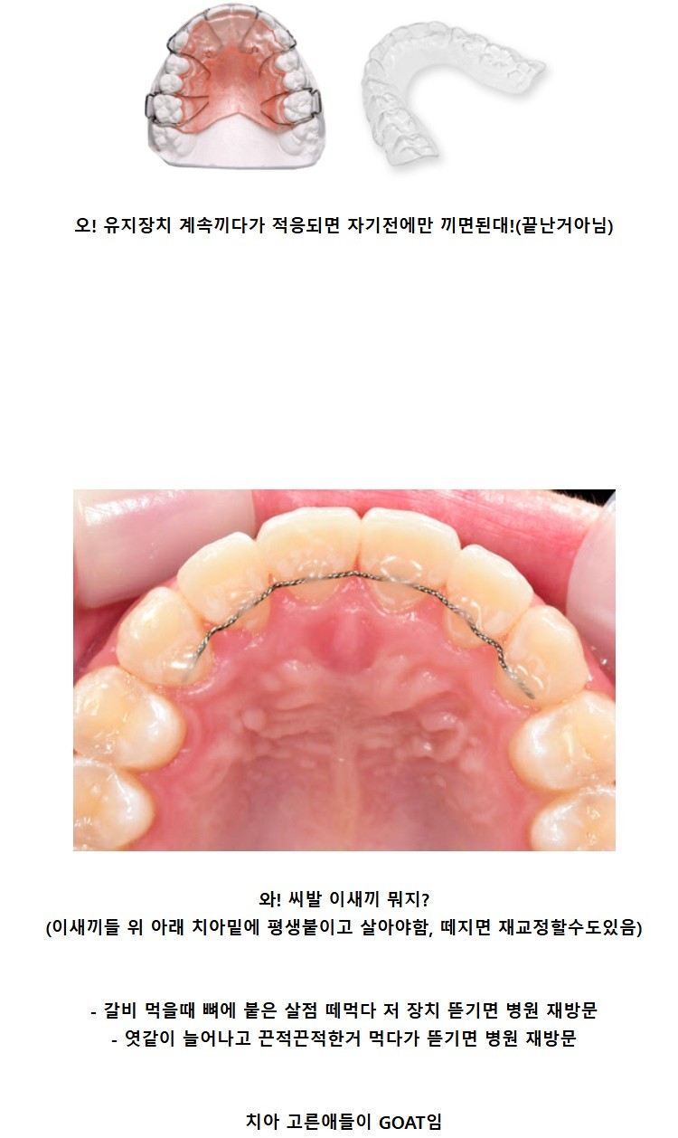 1ed944a401cb412820639319e5612214f4d58cca.jpg