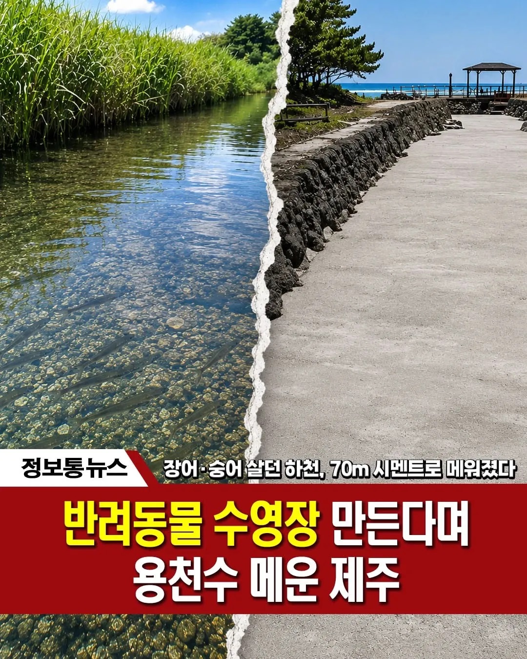 b2933e09cec013b73896da81a2a461a1b719738a.jpg