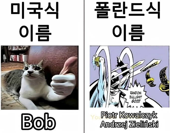 2e7d7b839a29456033e62728eb71fab67efd198c.png
