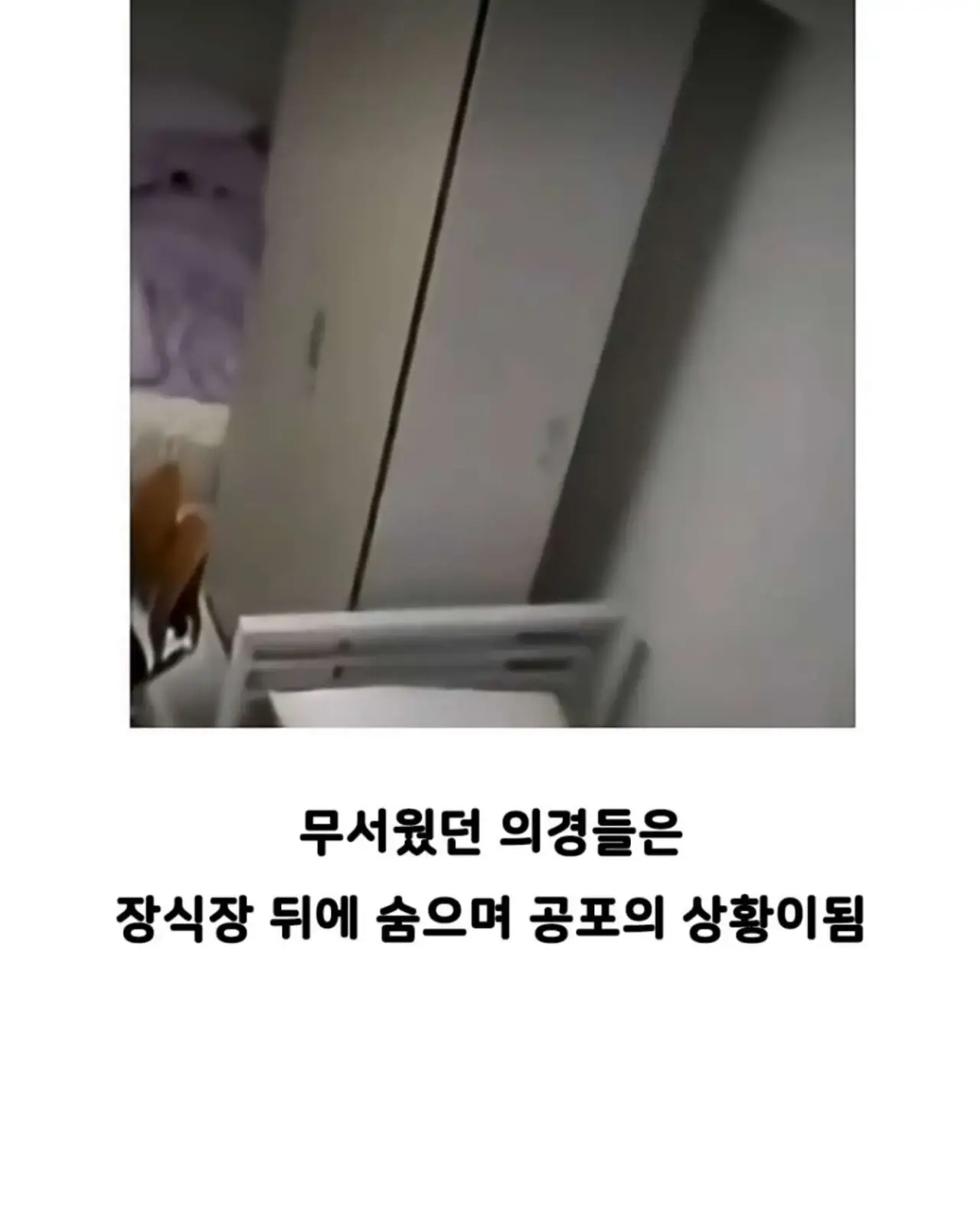 b17b066376f95581654124d2e082b9da9a49db4e.png